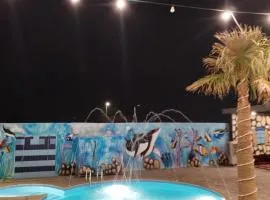 شالية نخلة