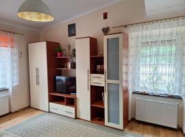 Kryształowe Zacisze，位于佩霍维采的酒店