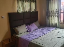 Flat In Asaba Airport，位于Okpanam的酒店