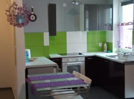 Pepe Apartment 40 mkw，位于什切青的酒店