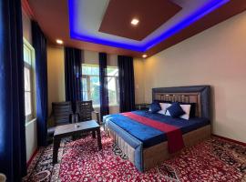 ARYAN GRAND PALACE Hotel and veg Restautant，位于Kanzalwan的酒店