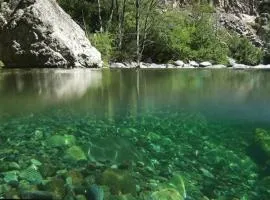 Autour du Hamac Le galet de la rivière