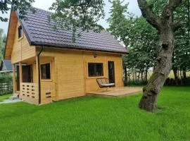 Czereśniowy skrzat II