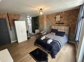 Cosy room in Antwerp City，位于安特卫普的公寓式酒店