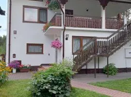 Mini Apartament Sosnowa
