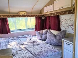 Camping Poiana Stelelor，位于Văleni的带热水浴缸的酒店