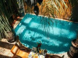 Riad Anya & SPA