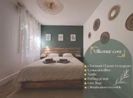 Villemur Cosy