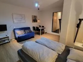 Central 1 room apartment 60m from the harbor