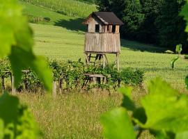 Hiša nad vinogradom，位于普图伊的酒店