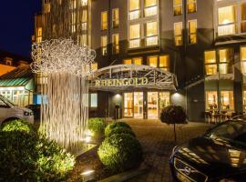 Hotel Rheingold 1 Room，位于拜罗伊特的酒店