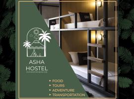 Asha Hostel，位于福尔图纳的酒店