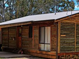 Cabin 1 - Snowy Accommodation，位于阿达米纳比的酒店