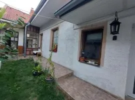 Dom v centre Piešťan
