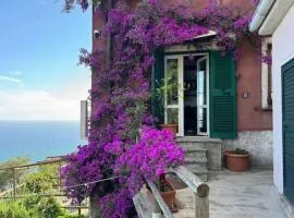 Amazing flat at the heart of 5 Terre National Park