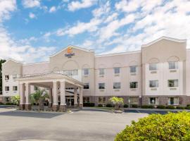 Comfort Inn Summerville - Charleston，位于萨默维尔的酒店