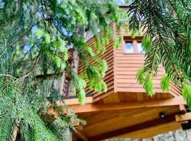 Cabane dans les Arbres de Valmo'Insolite