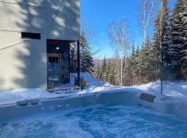 La Romane Stylish forest chalet w spa