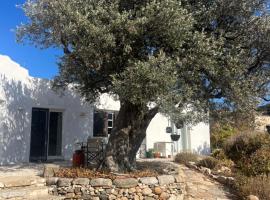 Villa Aneratza, near Alyki and Paros Airport，位于帕罗斯岛的酒店