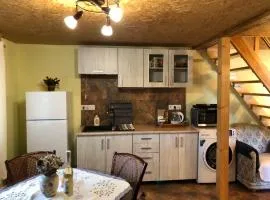 Apartmán Holany