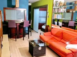 Acogedor apartamento Girona centro