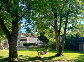 Le domaine de Brie