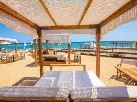 皮埃特拉布鲁Spa度假酒店 - CDS酒店