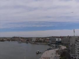 DELTA DANUBE VIEW apart，位于图尔恰的公寓
