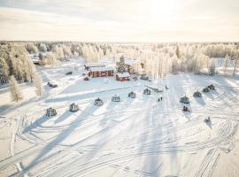 Arctic Guesthouse & Igloos，位于拉努阿的宾馆