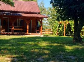 W Zaciszu Czarnego Lasu - antresola lub zapiecek，位于Ludwin的酒店