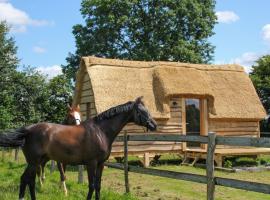 Chalet David Hockney，位于Saint-Germain-dʼAunay的木屋