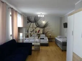 Apartament Centrum