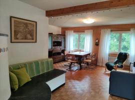 Ferienhaus Bärschwendi，位于龙疆的酒店
