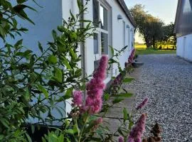 Vakantiewoning Denemarken