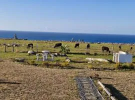 Wild Coast Grosvenor Holiday Home