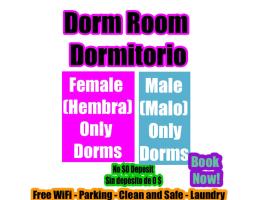 Miami International Hostel - All Female Dorms - All Men Dorms - No Mix，位于迈阿密的酒店