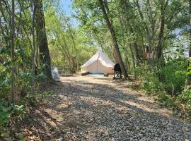 #Y2 Sage & Wildflower Yurt