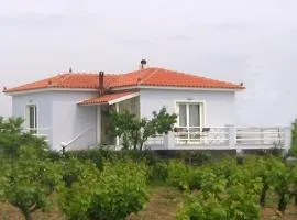 Mytilini House in Carpe Diem Villas & Houses