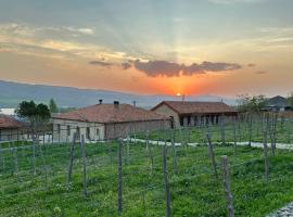 Vineyard Cottages，位于Khidistʼavi的酒店