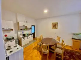 Aprtman BigHome Travnik