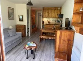 Studio Le P'tit Aigle pied des pistes et télécabine départ ski au pied