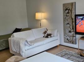 Himoksen naapuri, A3，位于耶姆赛的滑雪度假村