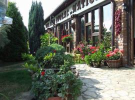Hotel Aqua Etno Dvorac，位于帕拉钦的酒店