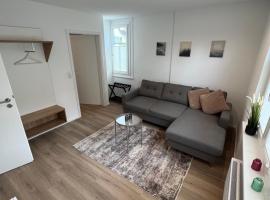 Rohrspitz Ferienwohnung，位于霍赫斯特的滑雪度假村