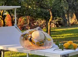 Lemon Factor Sorrento