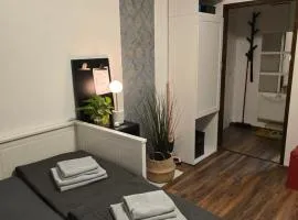 Studio apartman Tamai