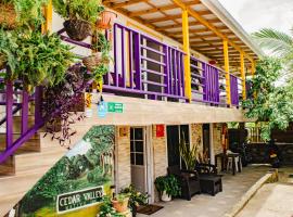 Posada Cedar Valley，位于普罗维登西亚的酒店