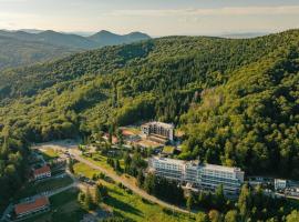 Balvanyos Resort - Peakture Hotel & Grand Hotel Balvanyos，位于巴尔瓦尼亚的酒店