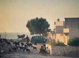 Little Beach Cottage，位于西迪考乌奇的酒店