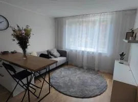 Cozy 2BR apartment in Neeme